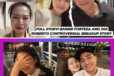 Maaaring ito ang totoong dahilan ng paghihiwalay nina Barbie Forteza at Jak Roberto