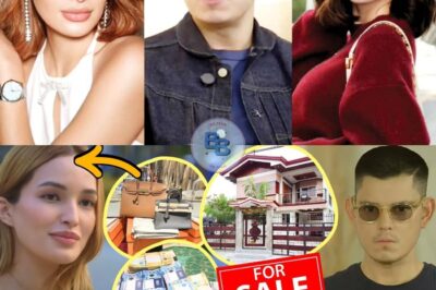 Sarah Lahbati, Ibinulgar si Richard Gutierrez Lahat ng Ari-arian Ibinenta? Barbie Imperial, Dahilan
