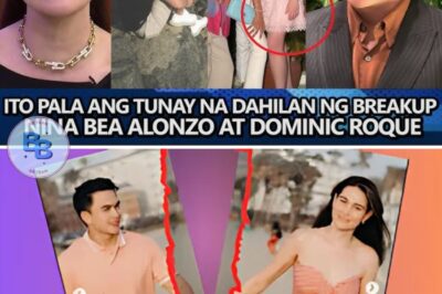 Sina Bea Alonzo at Dominic Roque, sa wakas ay isiniwalat ang katotohanan sa likod ng kanilang Masakit na Paghihiwalay!