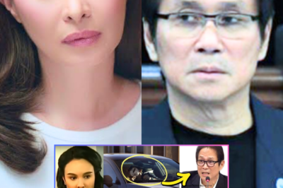 Gretchen Barretto TUMANGGI sa pag-akusang NAGDULOT ng PAGHIWALAY ni Sunshine Cruz at Atong Ang