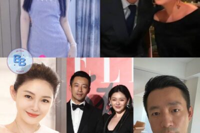 Inabuso ni Wang Xiaofei si Barbie Hsu at Sinusubukang Samantalahin ang Kanyang Kamatayan, Sabi ng Ex!