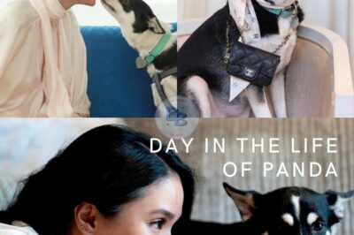 A DAY IN THE LIFE OF PANDA: Heart Evangelista Gives Fans a Glimpse into Her Glamorous and Quirky World! (VIDEO)