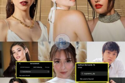 KATHRYN BERNARDO, in-unfollow sila DANIEL P, LIZA S, JULIA B, AT GILLIAN V! LALABAS NA BA ANG TOTOO?