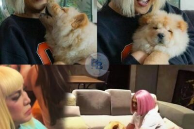 Vice Ganda, Nagluluksa at Pumili ng Pamilya Higit sa Karera – Ano ang Nangyari?
