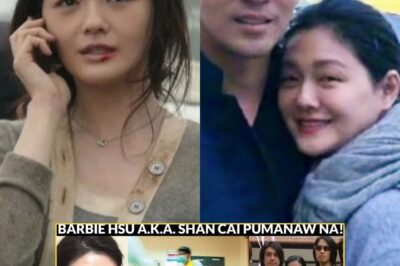 Barbie Hsu PUMANAW NA! Cause of Death ni Barbie Hsu INILANTAD!