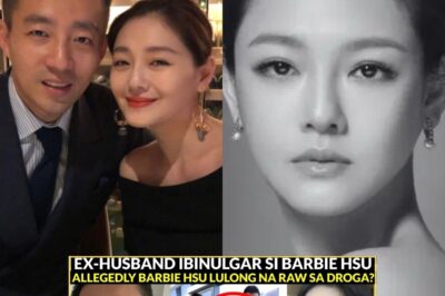 Ex-Husband ni Barbie Hsu Isiniwalat Allegedly Tunay na Cause of Death ni Barbie Hsu? Wan XiaoFei Nagbigay ng Pahayag
