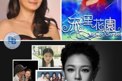 Isang Pagbabalik-tanaw sa Karera ng Taiwanese Actress na si Barbie Hsu