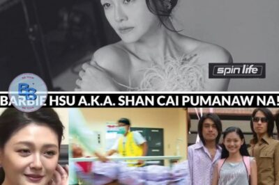 BREAKING NEWS: Tinanggihan si Barbie Hsu sa ECMO Sa Panahon ng Kritikal na Kondisyon, Inihayag ang Opisyal na Dahilan ng Kamatayan