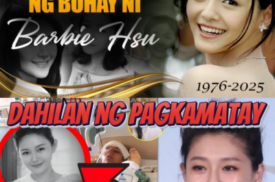 ANG MAKULAY NA BUHAY AT DAHILAN NG PAGP@NAW NI BARBIE HSU A.K.A SHAN CAI