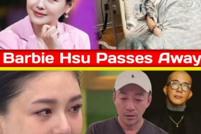 Hindi nabigyan ng ECMO si Barbie Hsu, nawalan ng contact ang kasalukuyang asawa, namamaga ang mata ng dating asawa.