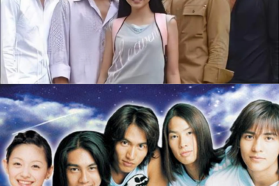 Barbie Hsu And F4—Our Favorite ‘Meteor Garden’ Style Moments