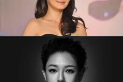 Barbie Hsu suffered from health conditions including epilepsy and heart disease