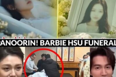 SHOCKING NEWS! Totoong Sanhi ng Pagkamatay ni Barbie Hsu, NABISTO! 😱 Hindi Lang Pneumonia at Trangkaso—May Mas Malalim na Dahilan?