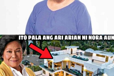 💰 REVEALED! Nora Aunor’s Heirs and Their Jaw-Dropping Luxurious Property – Hidden Millions and Shocking Inheritance Uncovered! 😱