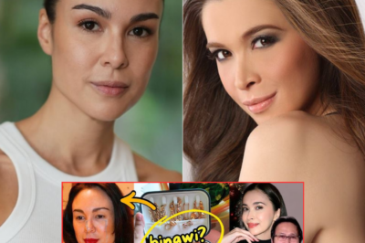 Sunshine Cruz INAMIN na NAUUNAWAAN niya ang paghihirap ni Gretchen Barretto nang makilala si Atong Ang: “Ang naghuhukay ng minahan ay nasubok.”