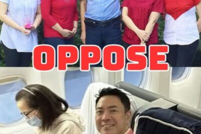Family opposed Kris’ marriage with her boyfriend – Mr. Right. The reason was revealed….see more