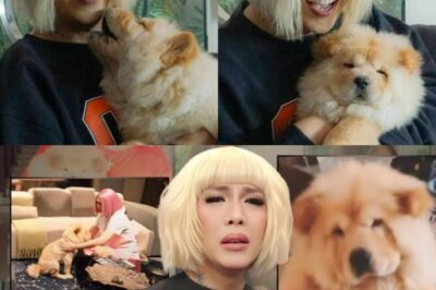 VICE GANDA, NAGLULUKSA SA PAGSUBOK NG PAGKAMATAY NG KANYANG PET DOG: Isang Malungkot na Kaganapan na Nagbigay Sakit sa Puso ng Komedyante!