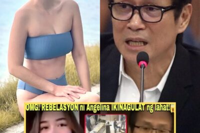 Anak ni Sunshine, BINWELTAHAN si Atong Ang matapos WALDASIN ang Kayamanan at Pera ng Ina!