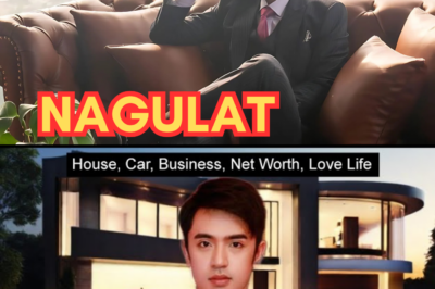 David Licauco IBINUNYAG ang paraan kung paano kumita ng hanggang P50 milyon sa loob ng isang taon na IKINAGULAT ang publiko.