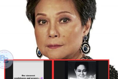 Philippine Entertainment World in Tears as Nora Aunor’s Death Leaves a Black Hole—Top Celebrities Collapse in Grief, Saying ‘No One Can Replace Her Greatness!’