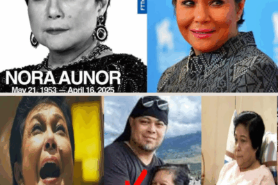 Ian’s Cryptic Words About Nora Aunor’s Final Moments—What Really Happened Before She Passed Away?