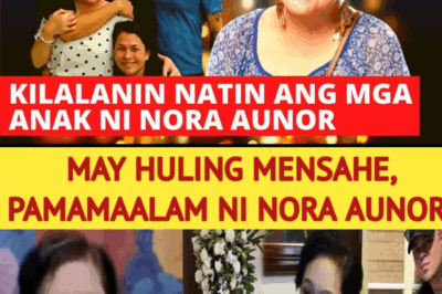 Nora Aunor’s Last Message: Her Farewell Will Break Your Heart!