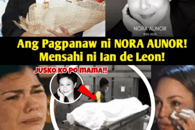JUST IN!!Nora Aunor PUMANAW NA!!OMG!!