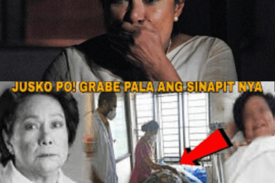 Nora Aunor Drops Bombshell Revelations: The Hidden Forces That Tried to Silence Her—Why She Says She Was Treated as ‘Guilty Until Proven Innocent’ in a Scandal That Shattered Her World