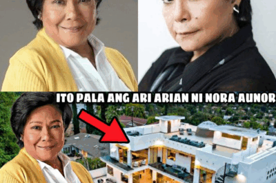 REVEALED: The Secret Lives of Nora Aunor’s Heirs—Inside Their Lavish Properties, Hidden Fortunes, and the Shocking Inheritance That’s Now Making Headlines!