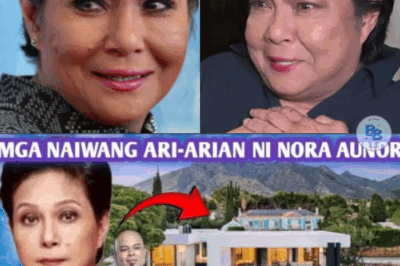 Behind the Curtain of Stardom: The Untold Fortune of Nora Aunor Finally Exposed—How the Superstar’s Secret Billion-Peso Empire Became Her Last, Most Powerful Performance of Love?
