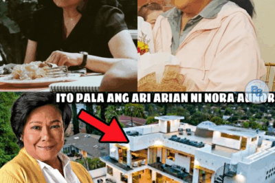 So here they are! The LEGACY of Nora Aunor. This is their property! It’s unbelievable, how rich they are!