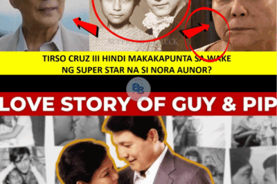NORA AUNOR & TIRSO CRUZ III LOVE STORY! SINO SINO PA ANG IBANG NAKARELASYON NA ISANG SUPERSTAR?