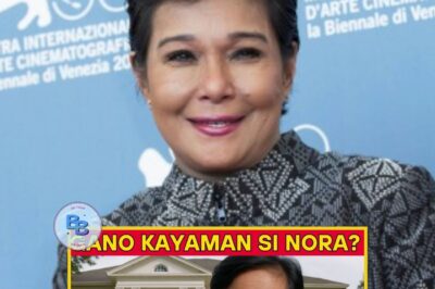 NAKAKAGULAT NA PAGBUBUNYAG! MANSYON SA BICOL, MGA LUPAING MALAWAK, AT LIHIM NA KUWEBANG MAY YAMAN—NORA AUNOR MAY ITINAGONG KAYAMANAN NA HINDI ALAM NG PUBLIKO