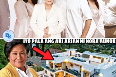 WOW! So here they are! Nora Aunor’s INHERITANCE | This is their property! Wow, they are so rich!