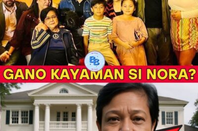 NORA AUNOR’S SECRET LIFE OF LUXURY REVEALED: Fans Shocked to Learn She Owns Lavish Estate in Bicol, Massive Farmlands, and a Fortune Locked in a Vault