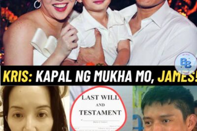 JAMES YAP VISITS KRIS AQUINO IN FINAL MOMENTS—Heartbreaking Scene as Kris Says Goodbye and Leaves Last Will for Bimby: ‘Take Care of Our Son…’