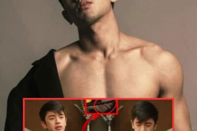 David Licauco Caught Red-Handed at Press Conference – Shocking Behavior Revealed in Jaw-Dropping Caught-on-Cam Moment!