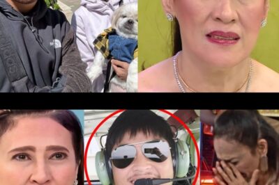 AI-AI DELAS ALAS, SUCCESSFUL SA PAGBABI NG GREEN CARD! GERARD SIBAYAN, DEPORTATION ISSUE NA NAGBANTA!