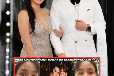 DAHILAN NG HIWALAYAN NINA MIKEE QUINTOS AT PAUL SALAS MATAPOS 4 NA TAON – SEKRETONG KABIT O PANLOLOKO? ALAMIN ANG KATOTOHANANG BUMAGABAG SA LAHAT!