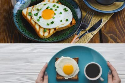 Eggs and Coffee: A Natural Duo for a Healthy and Productive Day!
