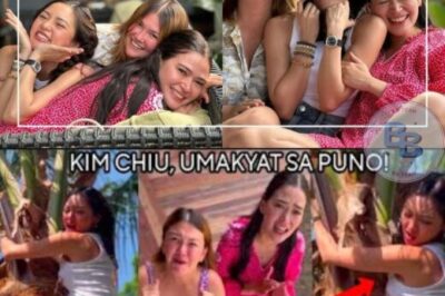 😱 Kim Chiu Umakyat sa Puno ng Buko sa Masayang Beki Reunion Kasama sina Bela Padilla at Angelica Panganiban!