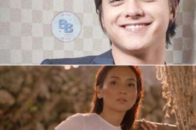 Daniel Padilla Allegedly Visited Kathryn Bernardo and Did This
