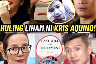 SH0CKING REVELATION: JAMES YAP SNAGS 100 MILLION PESOS FROM KRIS AQUINO’S LAST WILL—ALL BECAUSE OF HER SECRET!