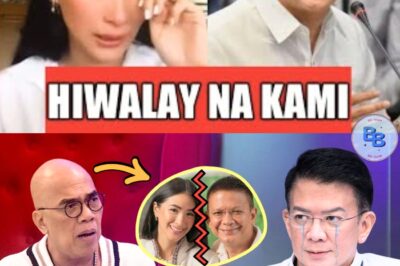 CHIZ ESCUDERO NAGLABAS NG SAMA NG LOOB! TUNAY NA DAHILAN NG HIWALAYAN NILA NI HEART EVANGELISTA, IBINUNYAG SA PUBLIKO—FANS NAPAIYAK SA REBELASYON!