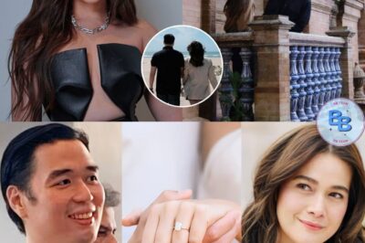 Bea Alonzo INALOK NA ng KASAL ng NEGOSYANTENG si Vincent Co! Bea EXCITED NA sa KASAL!