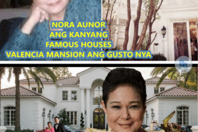 Step Inside Nora Aunor’s First Home: An Unforgettable Tour of the Superstar’s Roots 🌟🏡