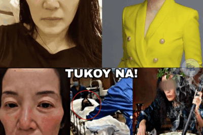 Identity of the Person Allegedly Behind the ‘Curse’ on Kris Aquino Finally Exposed — Internet Erupts as Shocking Truth Unravels About the Mysterious Figure Who Haunted the Queen of All Media