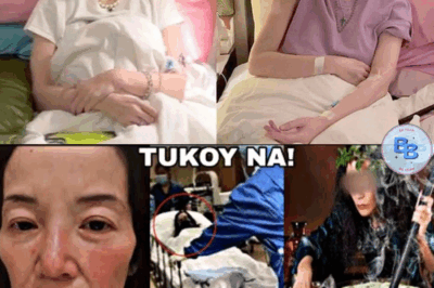 SH0CKING REVEAL: Kris Aquino Brought to Tears After Alleged ‘Curser’s’ Identity Is Exposed — The Stunning Truth Behind the Supposed Curse Sends Shockwaves Across Social Media, as Filipinos React in Disbelief to the Involvement of a Familiar, Unexpected Name!