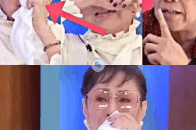 Behind the Glamour and the Smile: Vilma Santos Finally Reveals the Pain She’s Carried About Luis Manzano — and Why She Couldn’t Stay Silent Anymore…