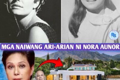 Nora Aunor’s Hidden Fortune EXPOSED: Secret Mansion in Bicol, Vast Land, and a Mysterious Treasure Vault?!